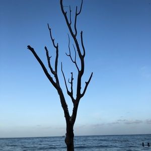 Meet your Posher, Stella